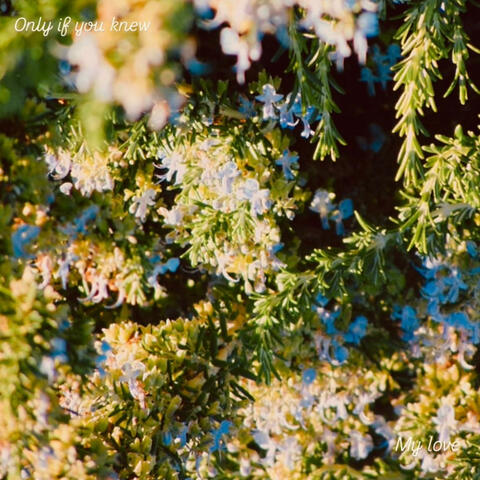 Sundown Smile (Instrumental) album art