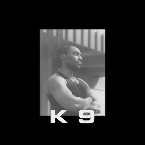 K 9 album art
