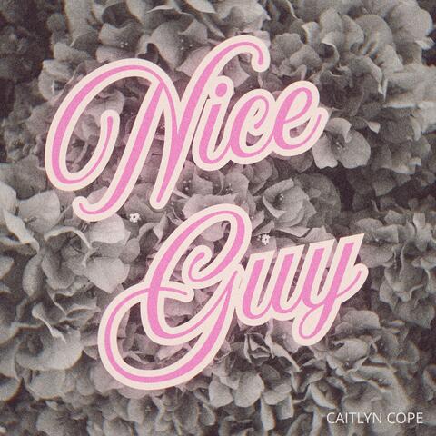 Nice Guy album art
