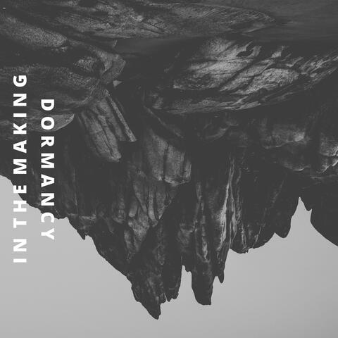 Dormancy album art