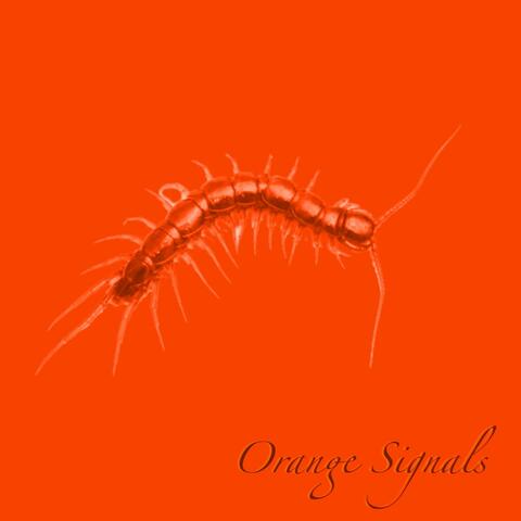 Orange Signals album art