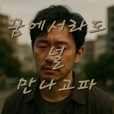 꿈에서라도 널 만나고파 album art