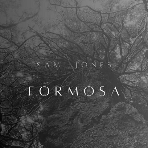 Formosa album art
