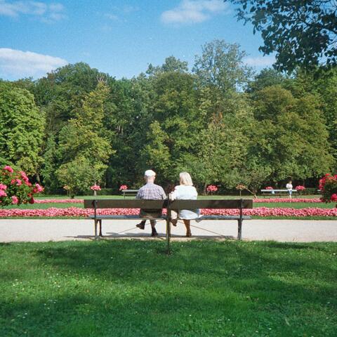 the garden album art