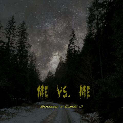 Me vs. Me album art