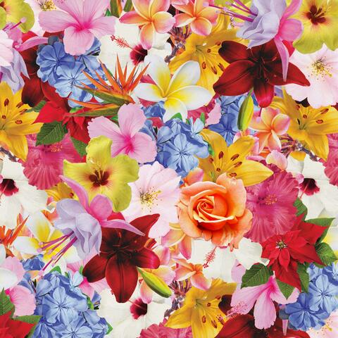 flora album art