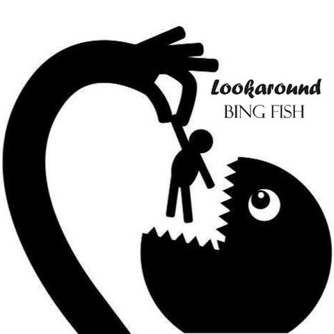 Lookaround album art