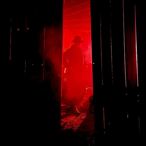 Wild Colorado album art