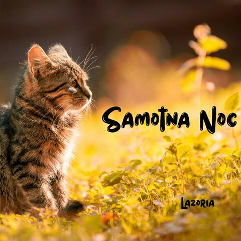 Samotna Noc album art