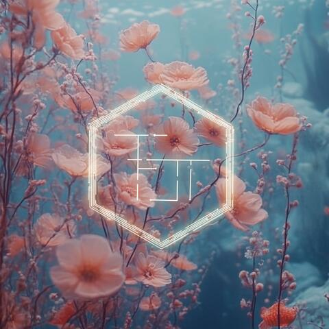 We Drank The Sea album art