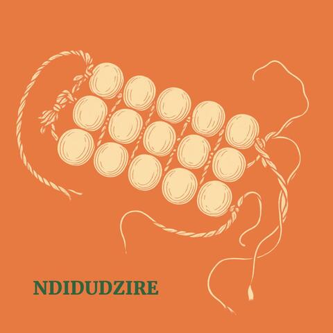 Ndidudzire (feat. Nhaka Box) album art