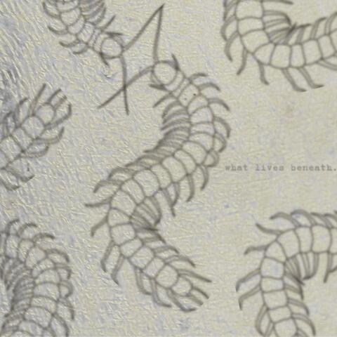 what lives beneath. album art