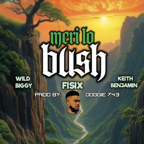 Meri lo bush (feat. Wild-Biggy & Keith Benjamin) album art