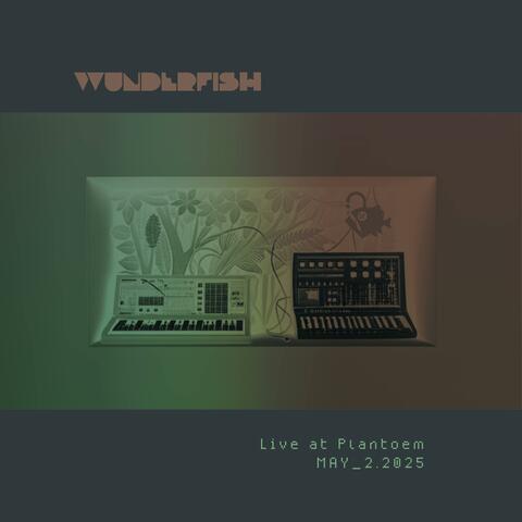 Live at Plantoem (May 2, 2025) album art