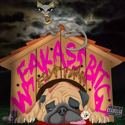weak ass bitch album art