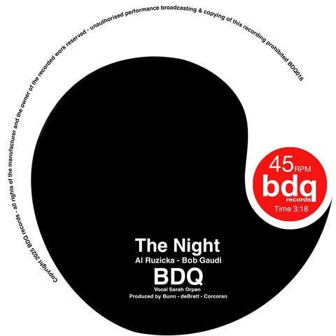 The Night (feat. Sarah Orpen) album art