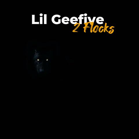 2 Flocks album art