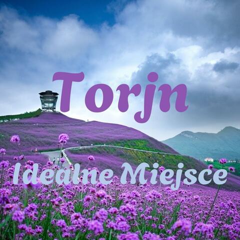 Idealne Miejsce album art