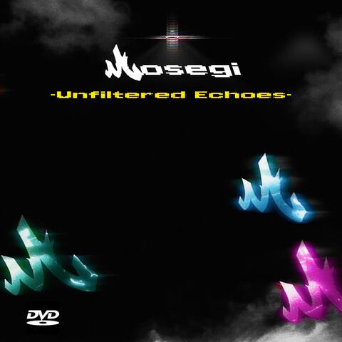 Unfiltered Echoes EP album art