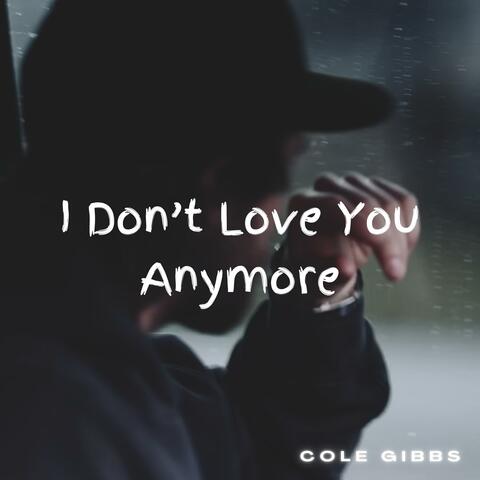 I Don't Love You Anymore album art