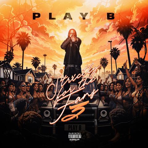 Strictly For The Fans 3 album art