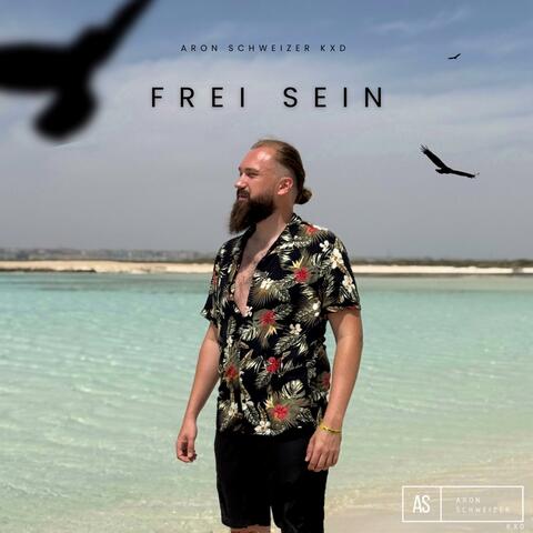 Frei sein album art