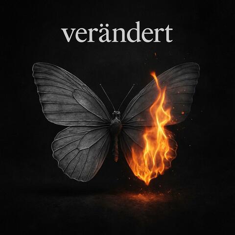 verändert album art