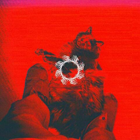cHoP cHoP XD album art