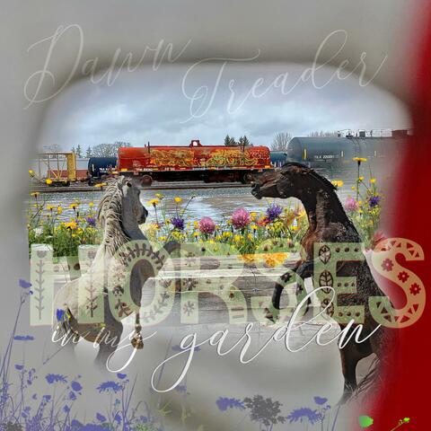 Horses in my Garden album art