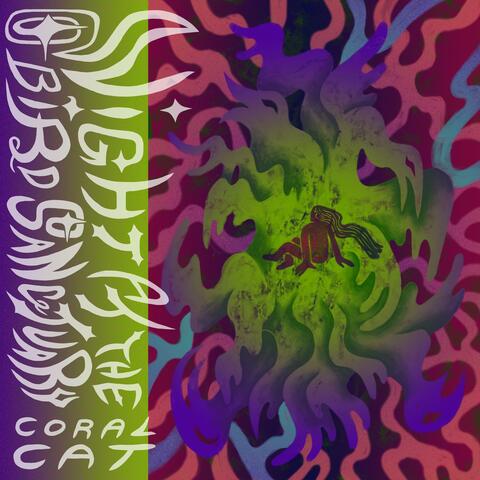 Night At The Bird Sanctuary album art