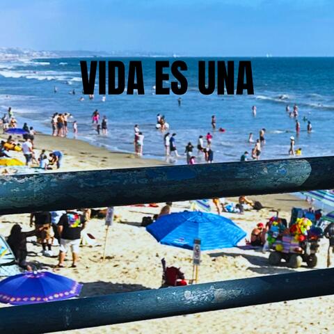 VIDA ES UNA album art