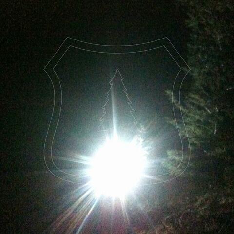 white river forest album art