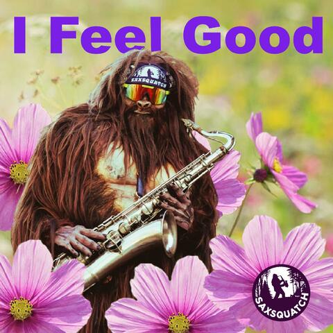 I Feel Good album art