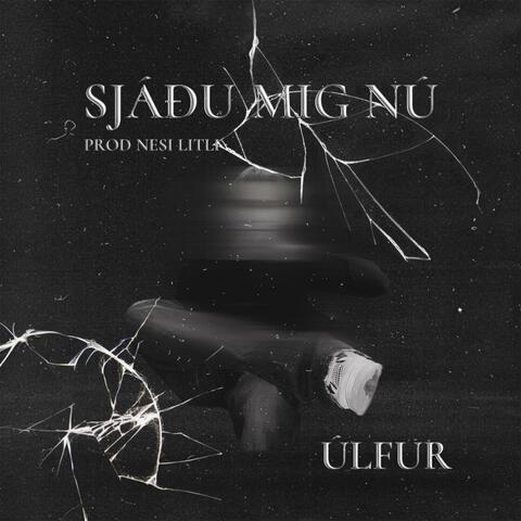 SJÁÐU MIG NÚ album art