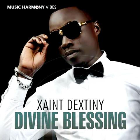 DIVINE BLESSING album art