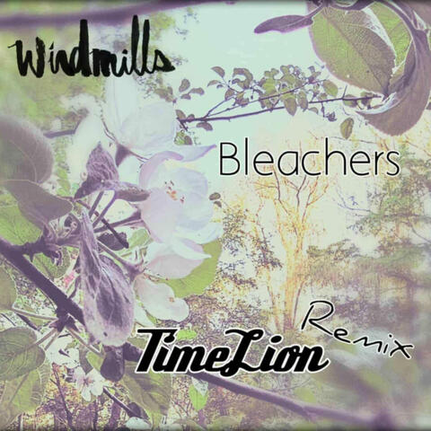 Bleachers (TimeLion Remix) album art
