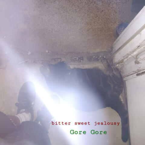 Bitter Sweet Jealousy album art