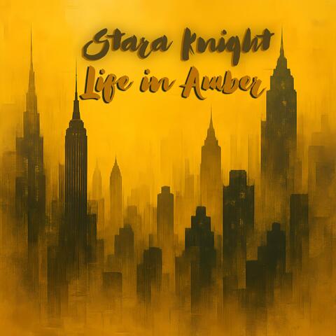 Life in Amber album art