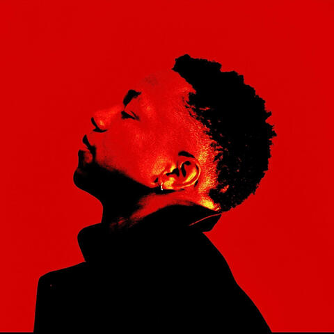 How To Live A Beautiful Life album art