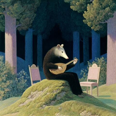 my emotional support opossum album art
