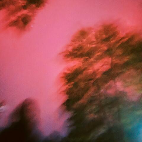 Disarray (feat. The Gnarly Neighbor) album art