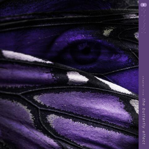 the butterfly effect album art