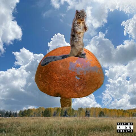 King Bolete album art