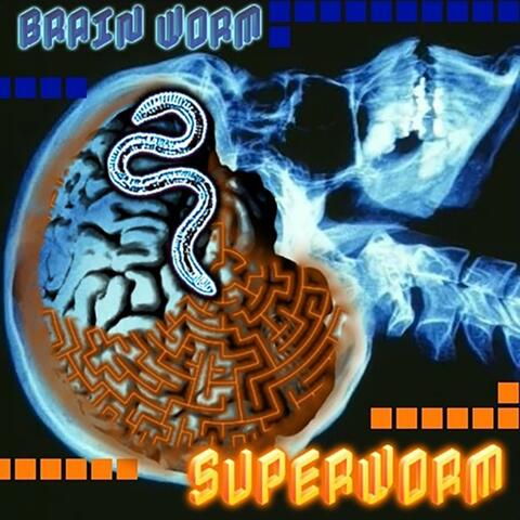 BRAIN WORM album art