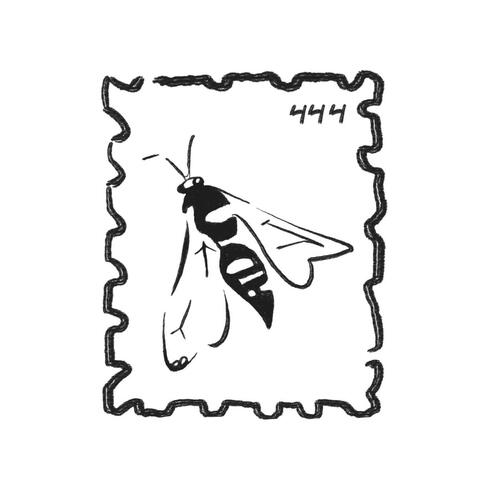 Cicada Killer album art
