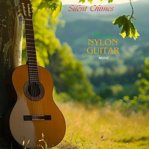 Beautiful Nylon string Guitar music for relaxation album art