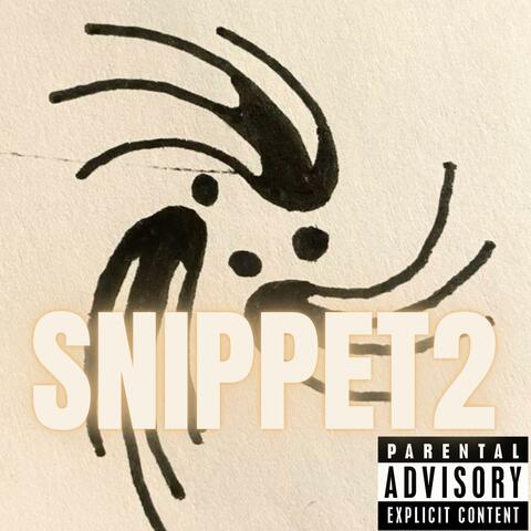 SNIPPET 2 album art