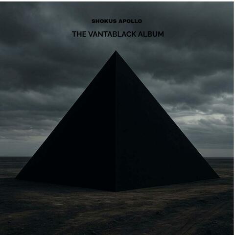 THE VANTABLACK ALBUM album art