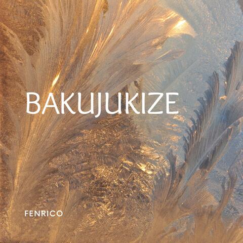 Bakujukize album art