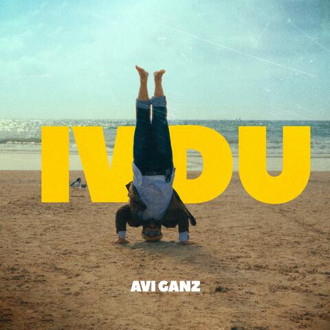 IVDU album art